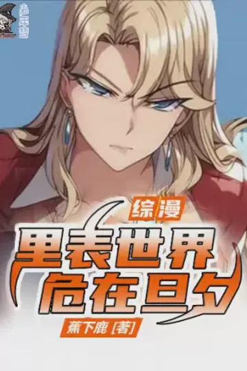 综漫：里表世界，危在旦夕 封面
