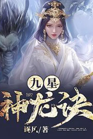 九星神龙诀 封面