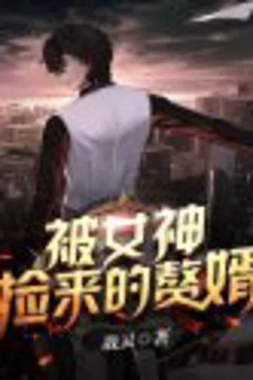 被女神捡来的赘婿 封面