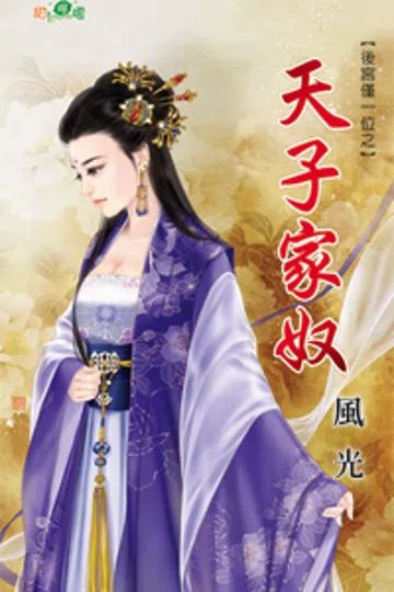 天子家奴 封面