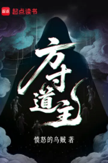 方寸道主 封面