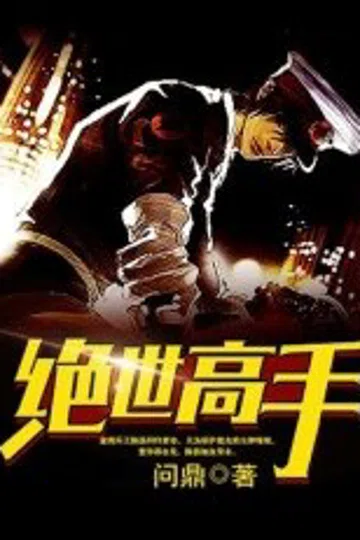 绝世高手 封面