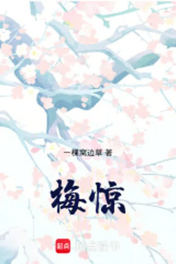 梅惊 封面