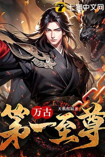 万古第一至尊 封面